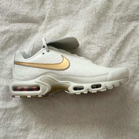 Nike Air Max Plus Tiempo Phantom and Gold shoes